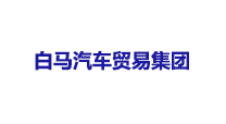 广西白马汽车贸易集团有限公司